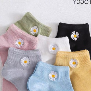 Combo tất hoa cúc, tất gấu 3 đôi