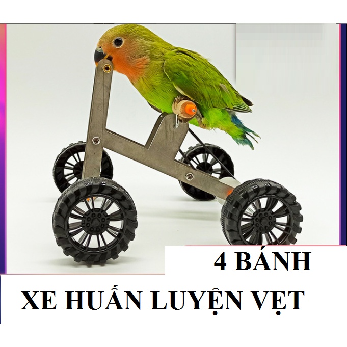 1 MÓN ĐỒ HUẤN LUYỆN VÀ RÈN TRÍ THÔNG MINH CHO VẸT (CÓ NHIỀU LỰA CHỌN)