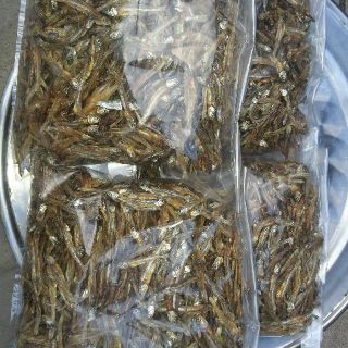 CÁ CƠM KHÔ biển ngang