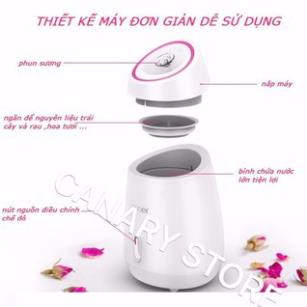 Máy xông hơi da mặt thảo dược hoa quả GDQUY08