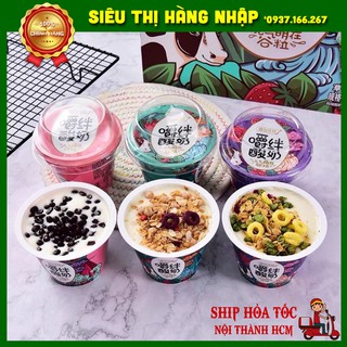 Sữa chua ngũ cốc yến mạch hoa quả sấy khô Yami Chew
