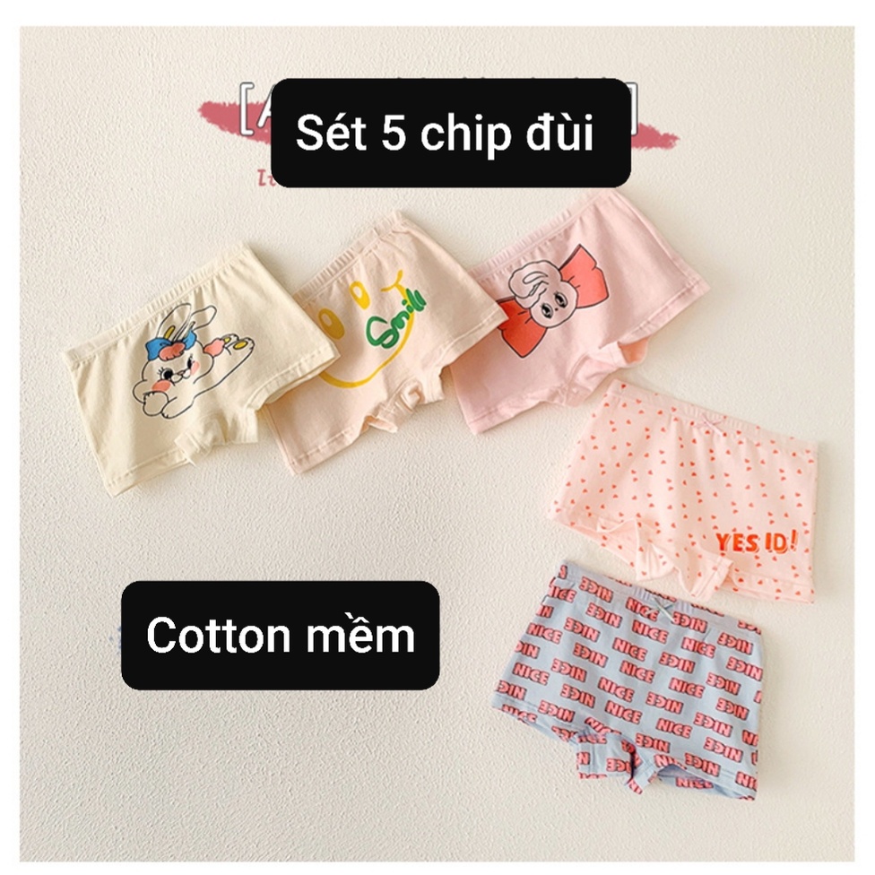 Quần chip bé gái combo 5 quần lót cotton kháng khuẩn cao cấp cho trẻ em từ 9 đến 39kg hoạ tiết Cô gái nhỏ