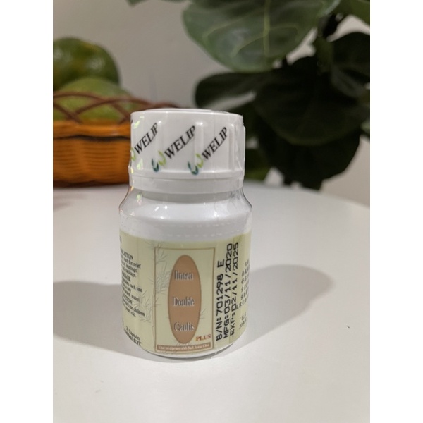 Linh Tiên Song Đằng Tố Linsen Double Caulis