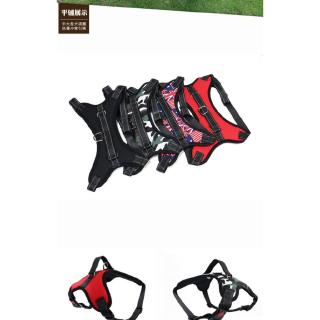 Dây Dắt Chó Husky Chuyên Dụng