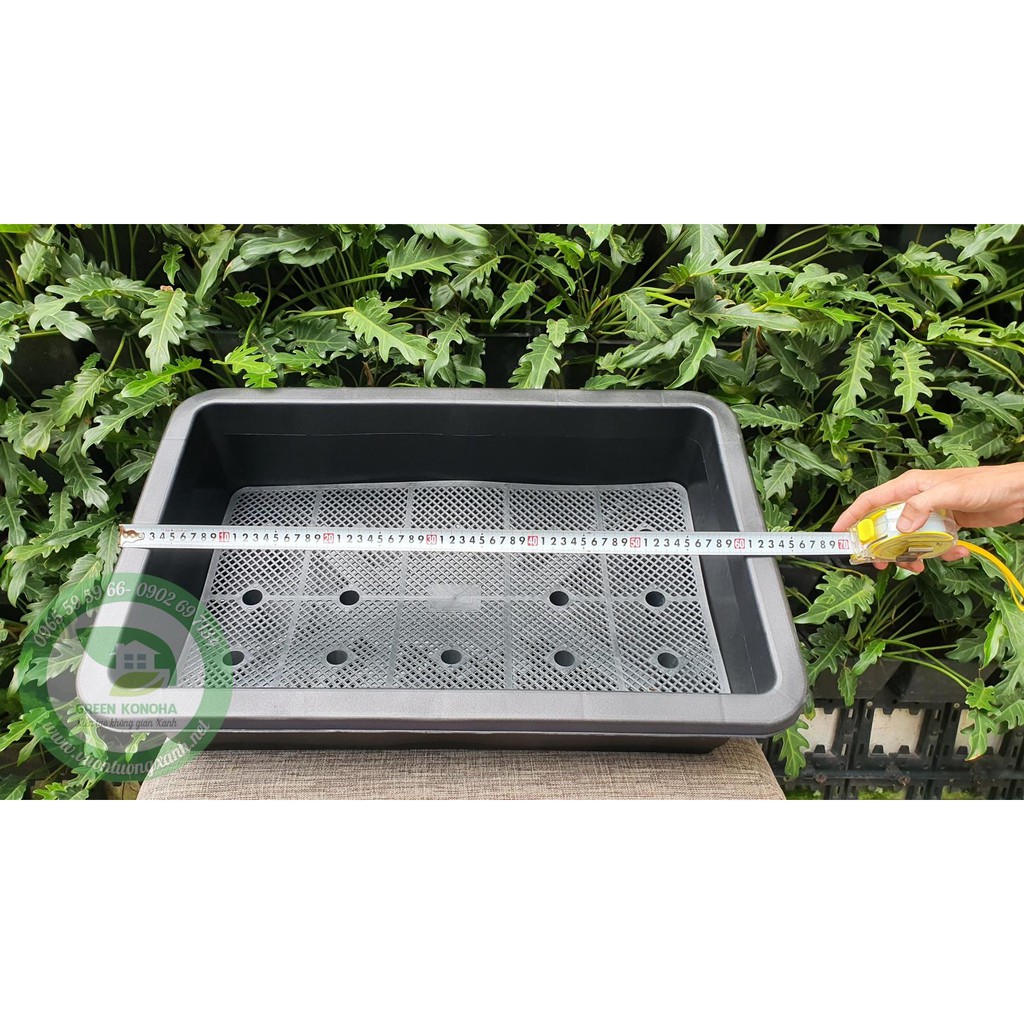 CHẬU TRỒNG RAU, TRỒNG RAU THỦY SINH SIÊU RỘNG GREEN KONOHA