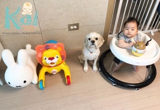 XE ĐẨY SƯ TỬ NHẢ BÓNG