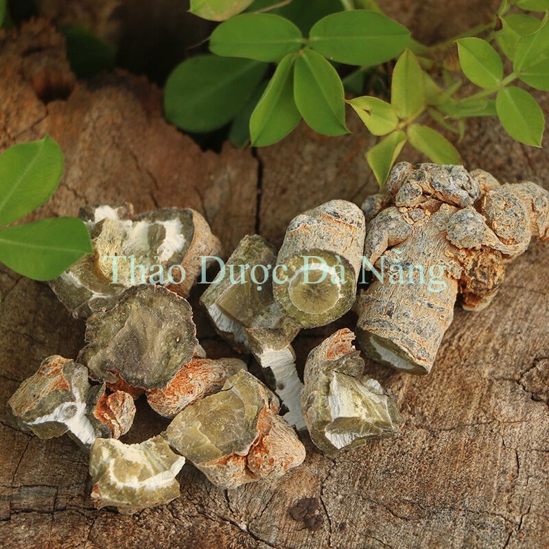 Tam Thất Bắc khô,sạch.