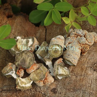 1 Kg Tam Thất Bắc khô,sạch.(size 5 củ/100 gram)