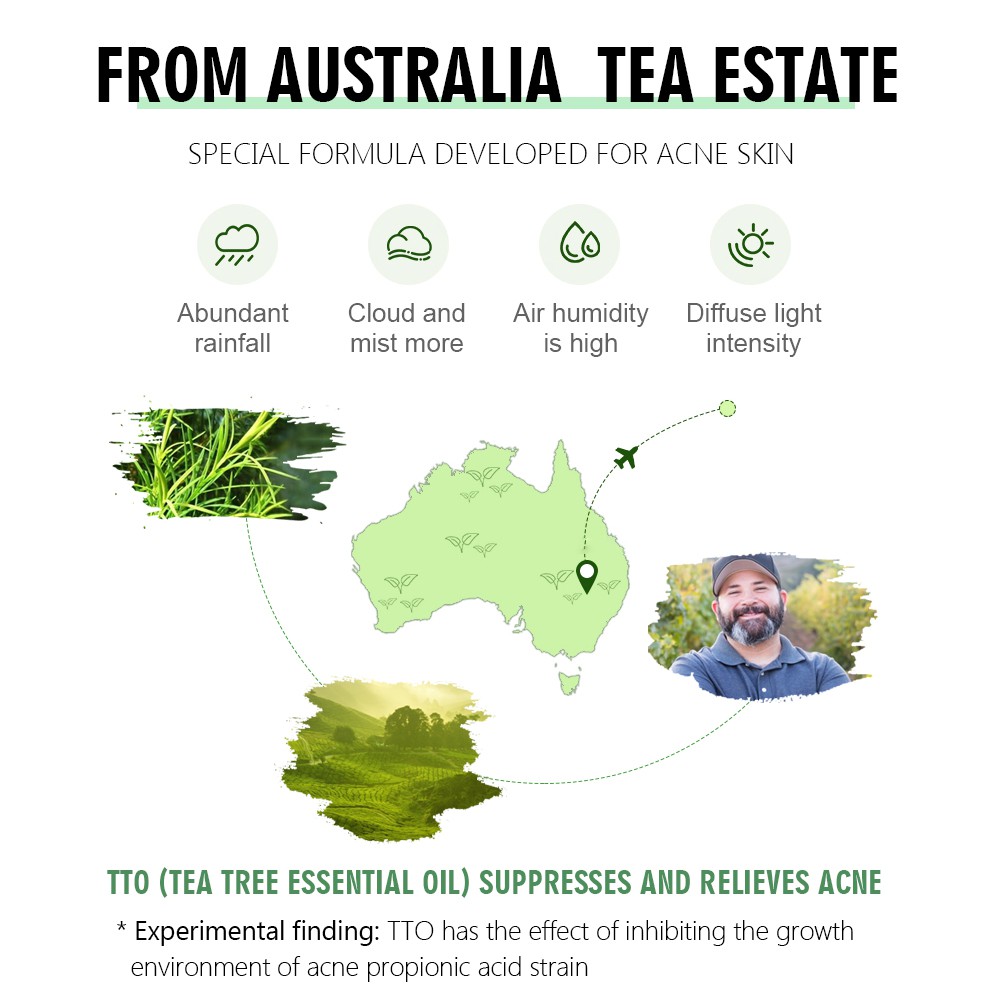 Serum Hỗ trợ giảm Vết Sẹo Loại Bỏ Mụn Làm Trắng Da Tinh Chất Tràm Trà 30ml Vibrant Glamor | BigBuy360 - bigbuy360.vn