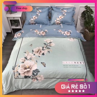 Chăn ga gối cotton organic "hoa mai trắng" 4 món