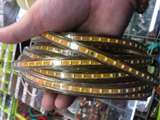 LED dây 4014 + zắc 10m