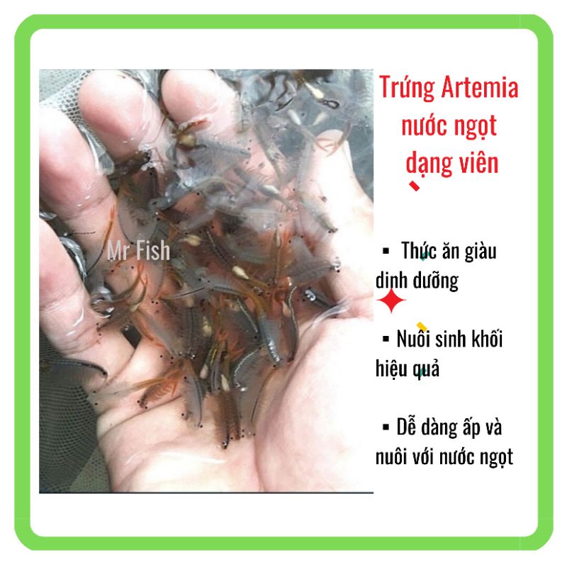 Trứng artemia nước ngọt Thái Lan - Dạng viên con nhộng - Artemia nuôi sinh khối - Mr Fish