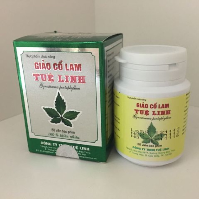 Giảo cổ lam Tuệ Linh - Hộp 60 viên và 100 viên