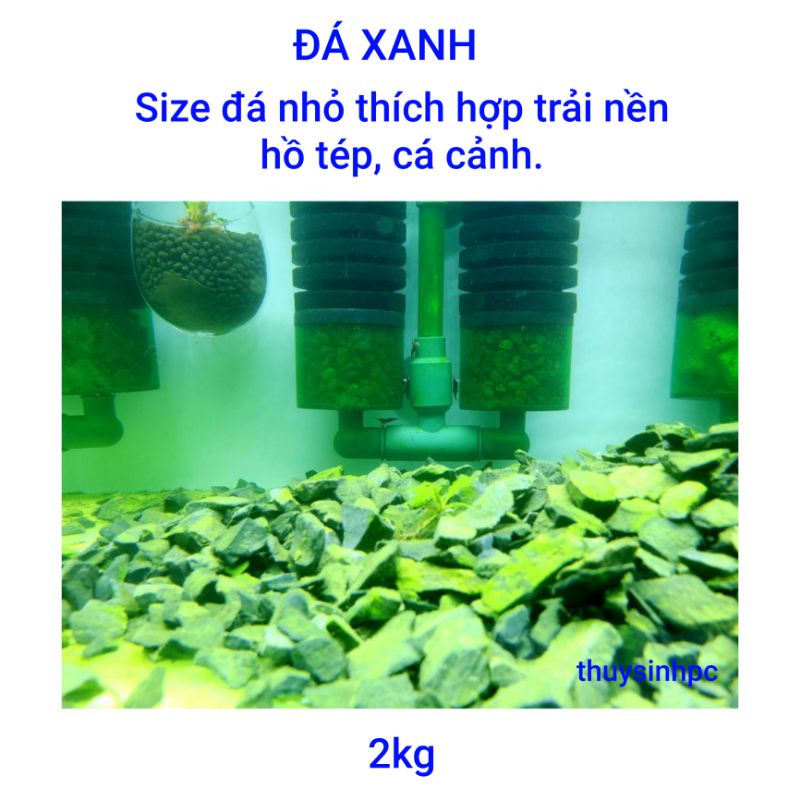 2kg đá sử dụng trải nền hồ tép sula
