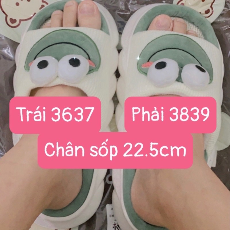 Dép bông đi trong nhà con Ếch dễ thương