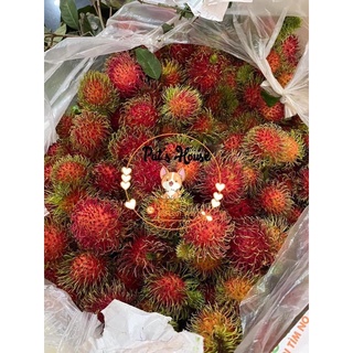 Chôm chôm Thái ngon bổ rẻ