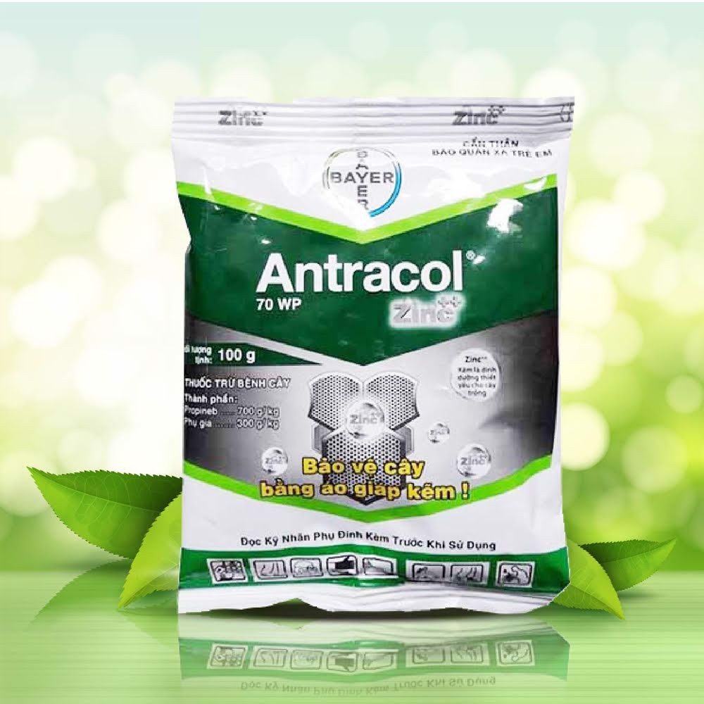 Antracol 70WP- gói 100G- thuốc trừ bệnh, tạo áo giáp kẽm cho cây trồng