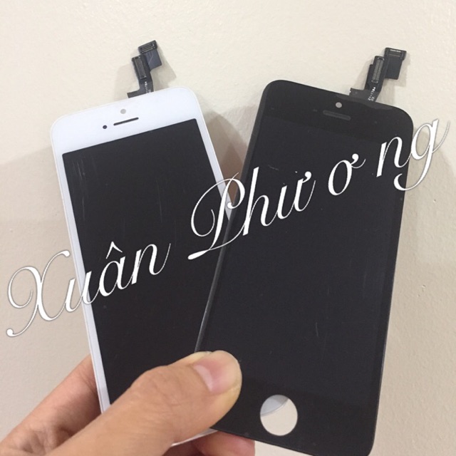 Màn hình Iphone 5S - 5SE