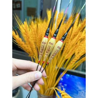 phao cỏ câu đài có đèn cao cấp
