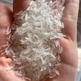 Gạo hạt st25 1kg gạo ngon nhất đông nam á