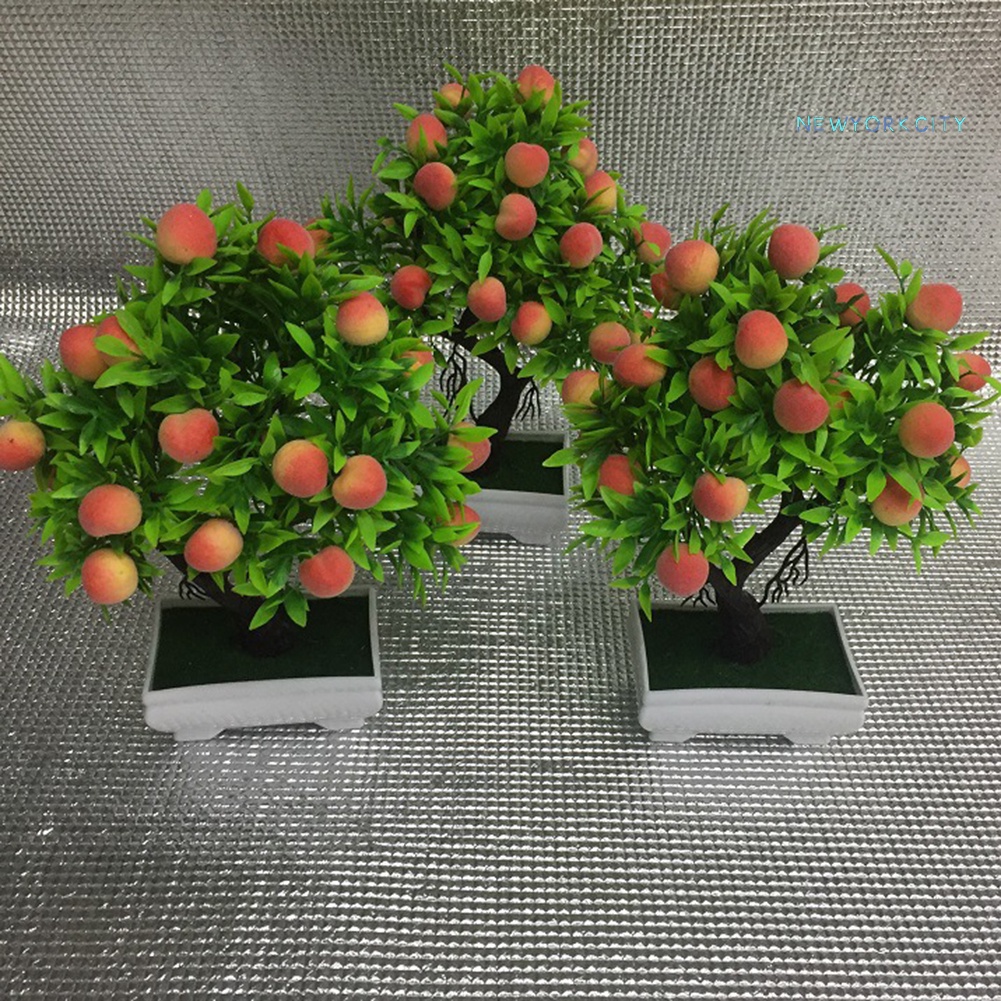 Chậu Cây Bonsai Giả Bằng Nhựa Tự Nhiên Dùng Trang Trí Nhà Cửa