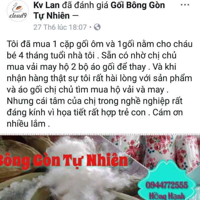 Gối bông gòn tự nhiên