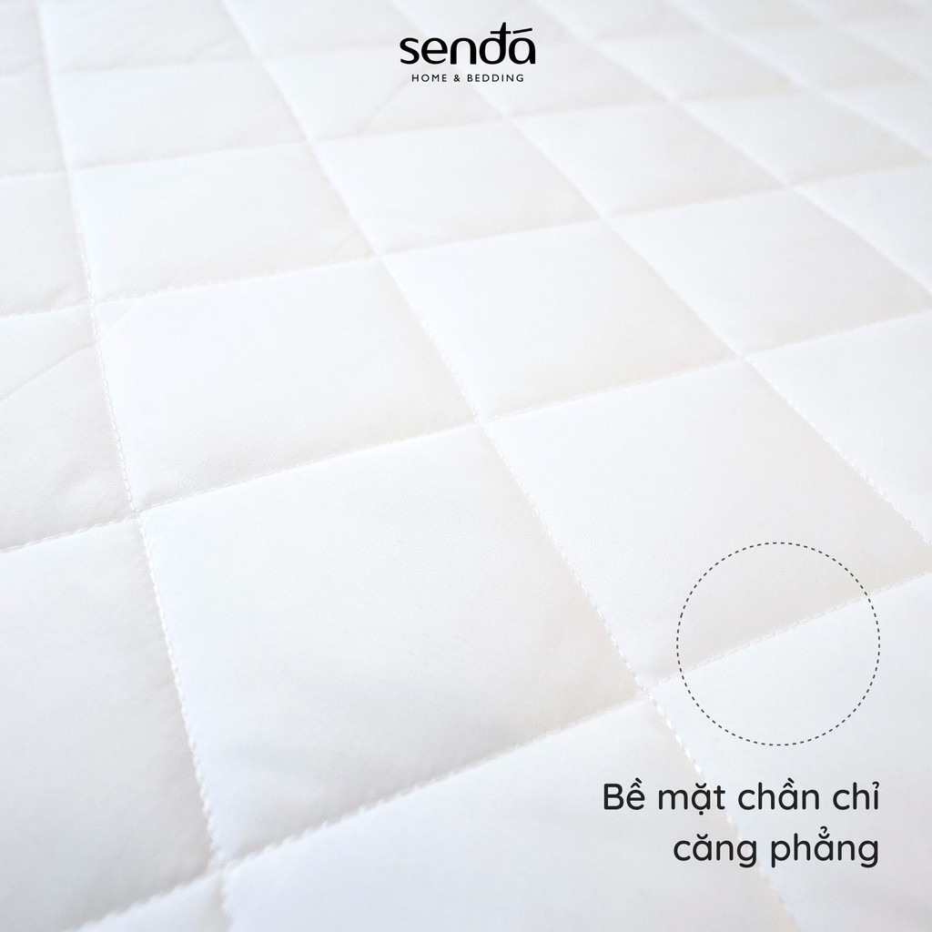 Tấm bảo vệ đệm Sen Đá bông polyester 1,6m x 2m, 1,8m x 2m