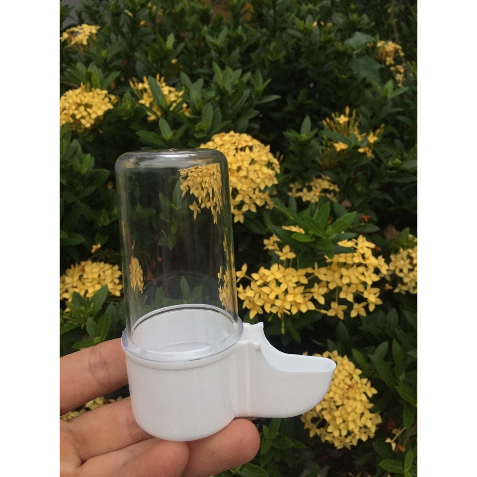 Cóng nước 75ml cho chim