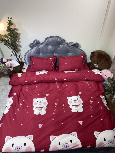 Bộ Chăn Ga Gối Hello Kitty /Doremon Siêu Kute -&gt; được chọn mẫu /size