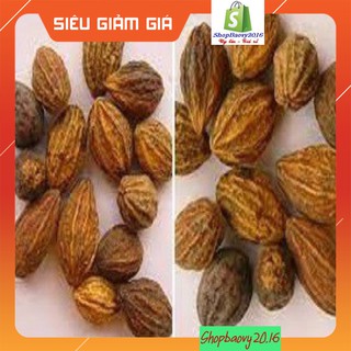 500Gram Qủa Kha Tử loại 1 (khô sạch đẹp)
