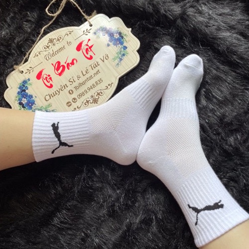 Tất/vớ Nike hàng dệt kim thương hiệu Adidas, Mizuno, dùng cho thể thao, bóng đá, bóng chuyền, tennis, thời trang, có sỉ.