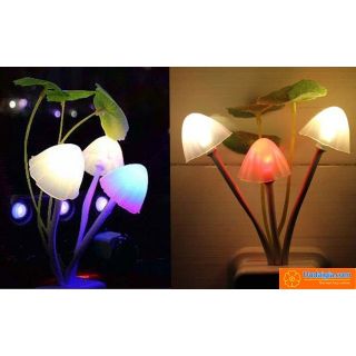 Đèn ngủ hình cây nấm