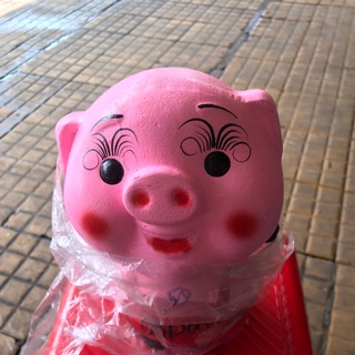Heo đất em bé cực cute