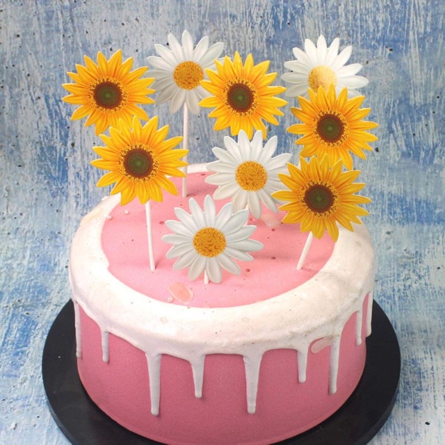 Set que hướng dương