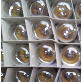 Bóng đèn sợi đốt đuôi gài 15mm 24V đầu tròn