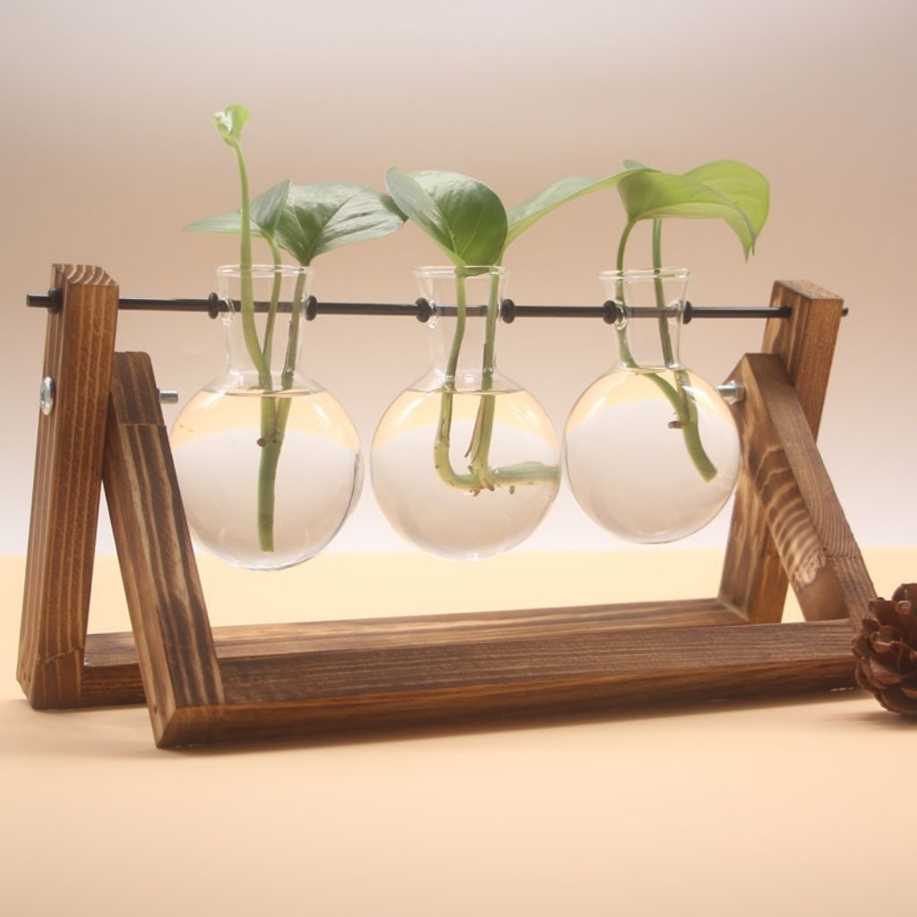 Bình hoa thuỷ tinh mini trồng cây thuỷ sinh, lọ hoa thuỷ tinh decor