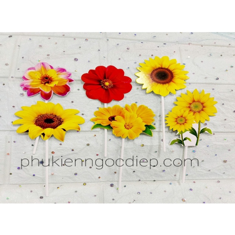 set giấy bông hoa cúc