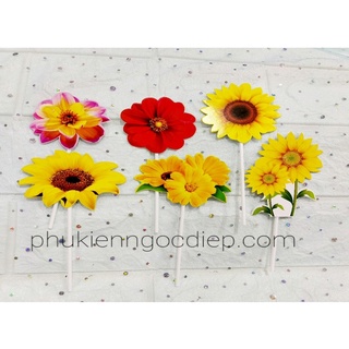 set giấy bông hoa cúc