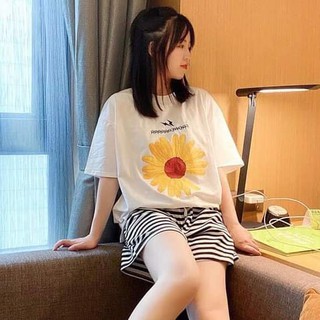 Set bộ đùi thời trang thêu bông dễ thương - sbn_105