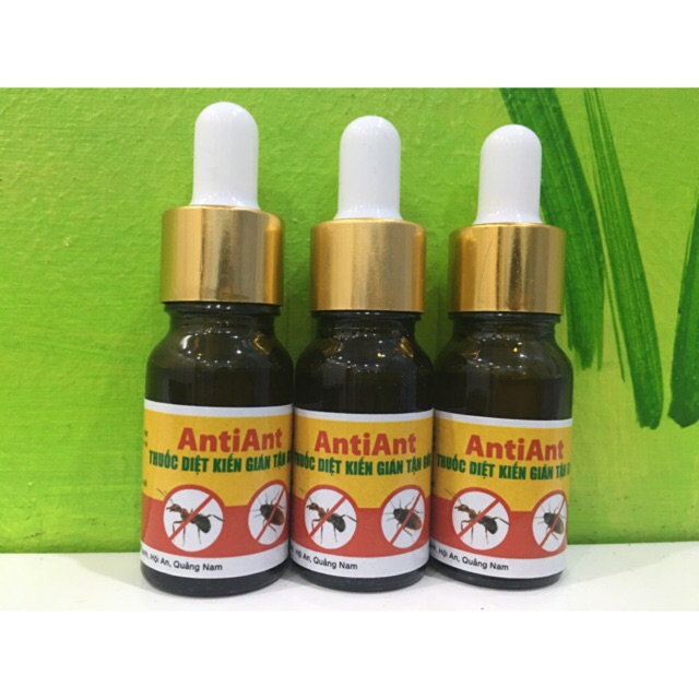 THUỐC DIỆT KIẾN - GIÁN TẬN GỐC