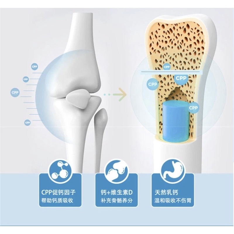 Canxi cho chó Borammy Canxi cho mèo phát triển răng và xương tốt cho chó mèo bầu BM01