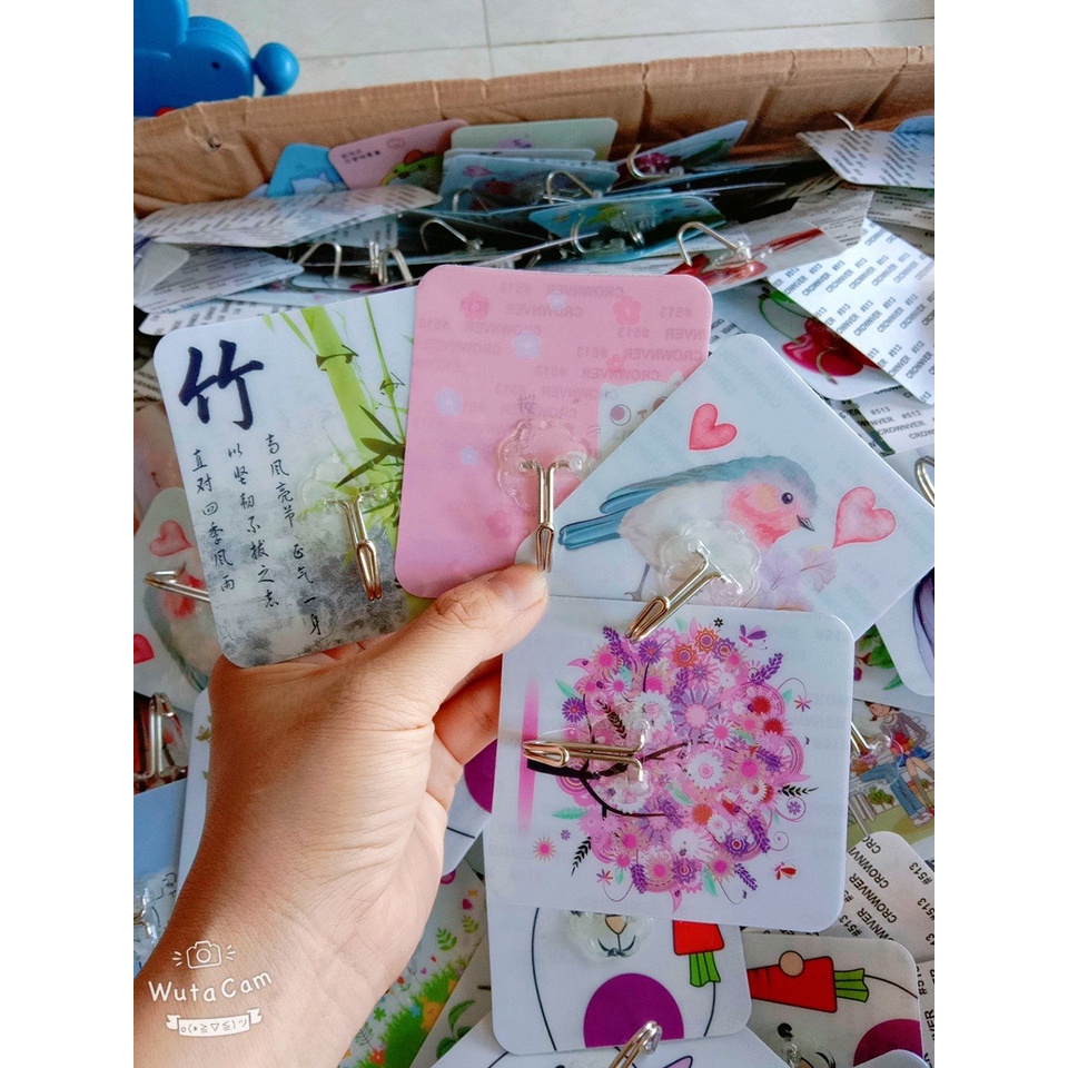 Móc dán Tường 3D in Hình Siêu Dính, Chiu Lực