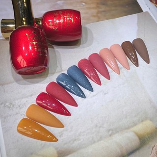 Set Sơn gel nhũ giả bột s( son móng ) hiệu kaniu