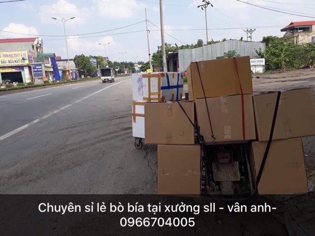 10 set bò bía ngọt