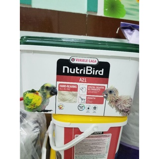 Bột A21 và A19 thùng 3kg