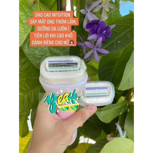 Dao cạo Schick Intuition Nhật