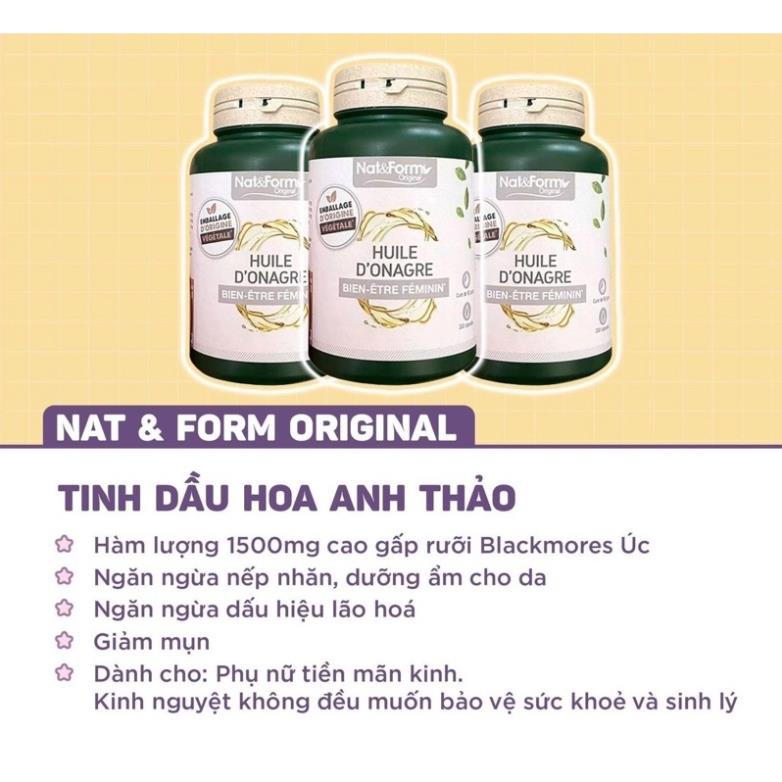 Hoa anh thảo Pháp Nat Form 200v