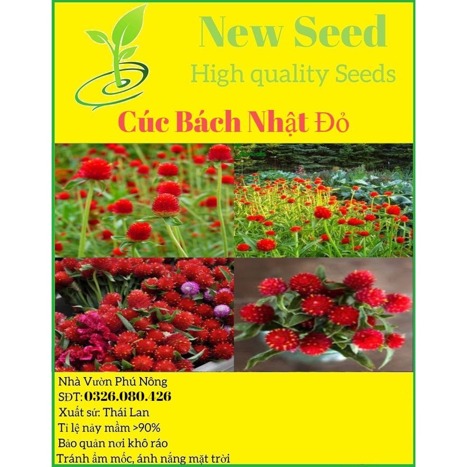 [Gói 150 hạt] Hạt Giống Hoa Cúc Bách Nhật Đỏ F1 Loại Siêu Dễ Trồng, Hoa Nở Đẹp Tặng kèm Hướng Dẫn Trồng