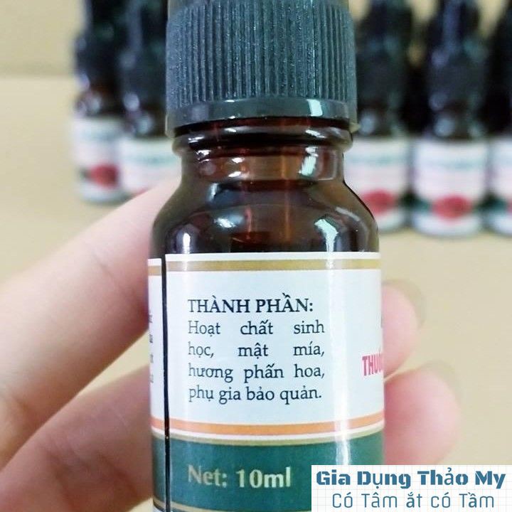 Thuốc Kiến Tận Gốc 100%, Đảm Bảo An Toàn Hiệu Quả Khi Sử Dụng