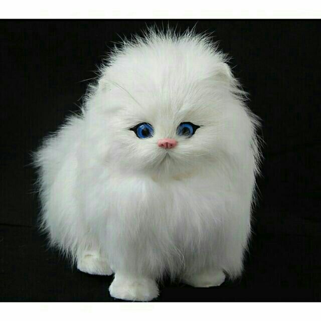 Mèo Bông Mini